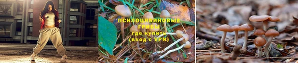 круглые Киренск