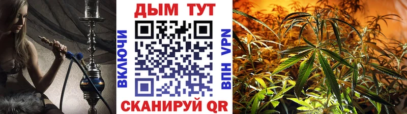 Купить закладки  Волхов  Канабис LSD WEED 